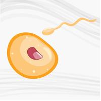 Sexual reproduction