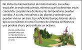 Ilustración de un bosque al borde de un pastizal