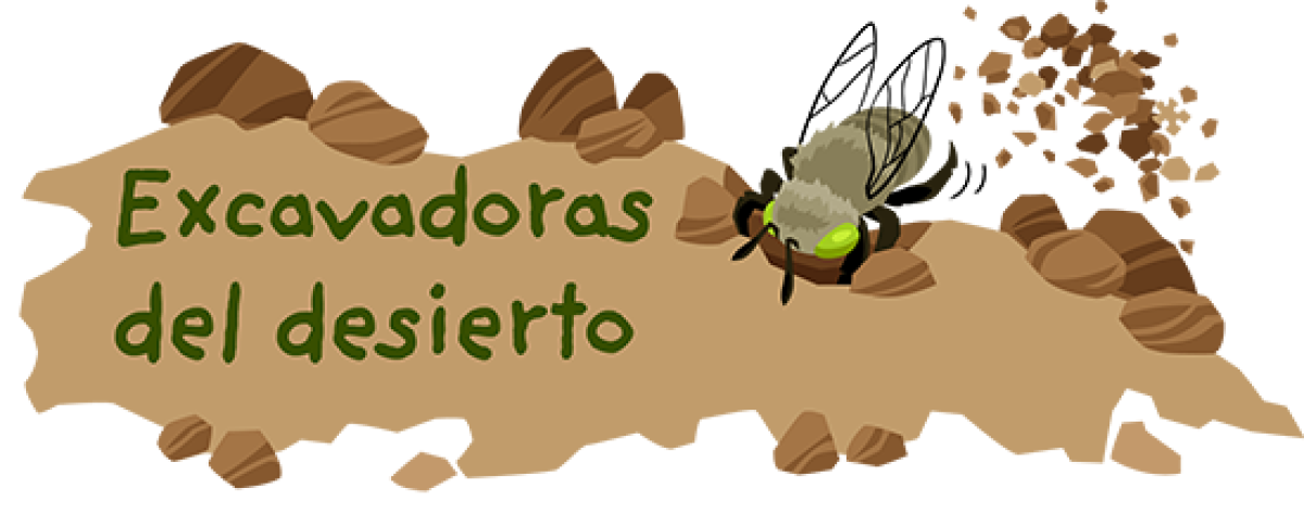 Abejas excavadoras