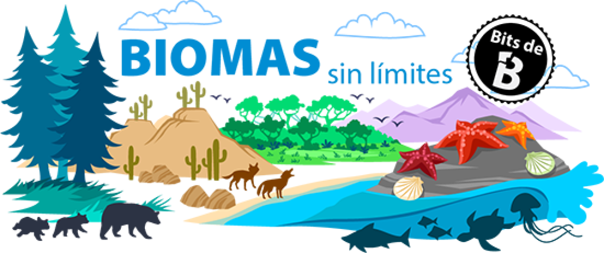 Bits de biologia de biomas sin limites