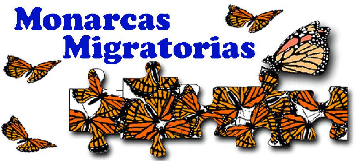 Monarcas Migratorias