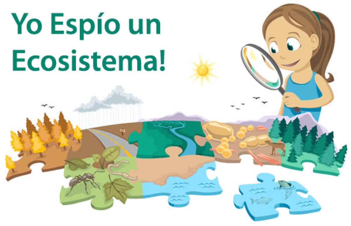 Yo espío un ecosistema