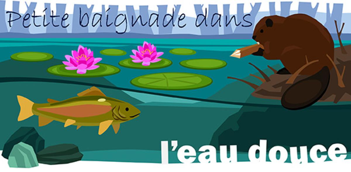 l'eau douce biome