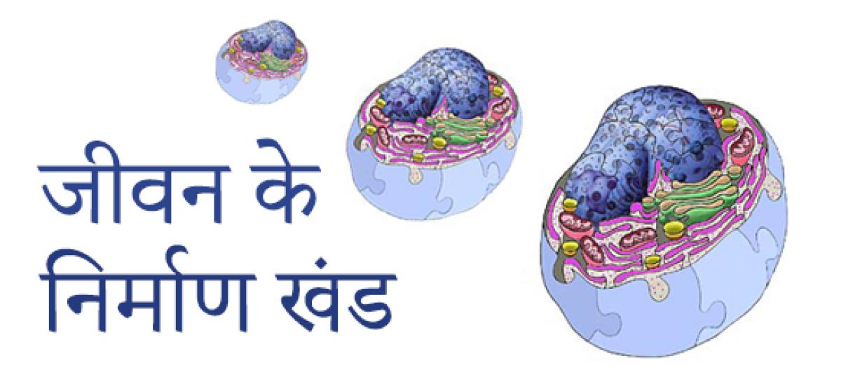 कोशिकाएं