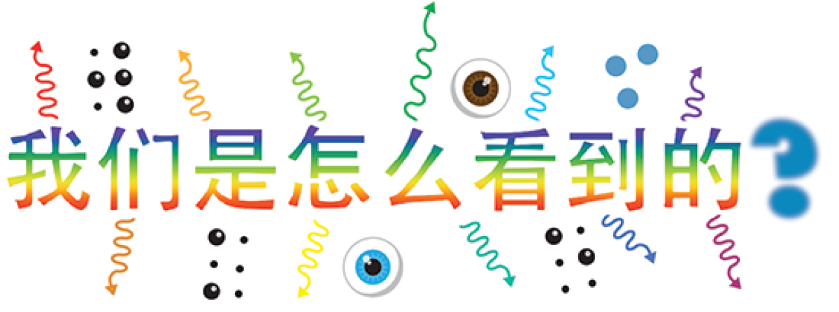 我们是怎么看到的?