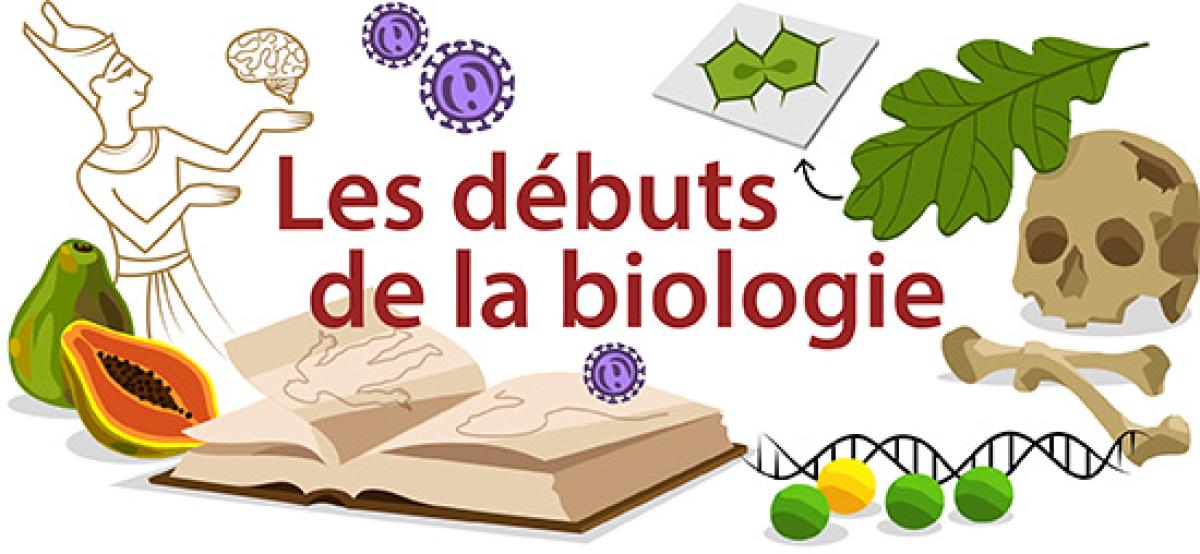 Les debuts de la biologie