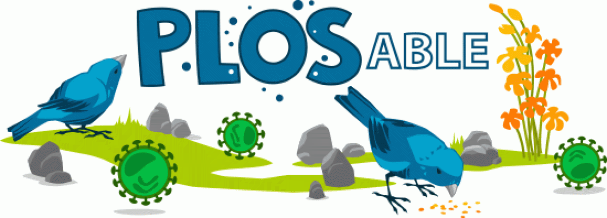 Plos header gif of birds