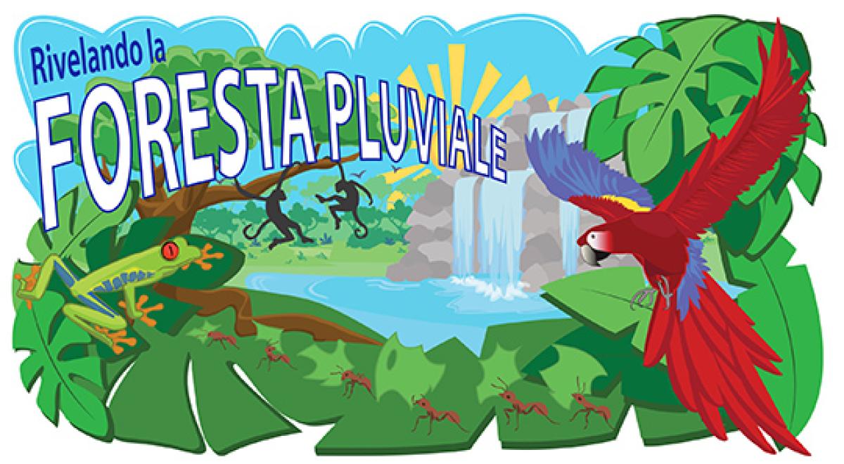 Foresta pluviale
