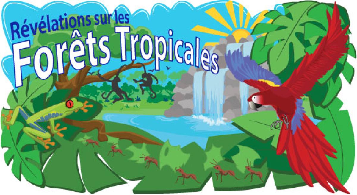 Forêts Tropicales Pluvieuses
