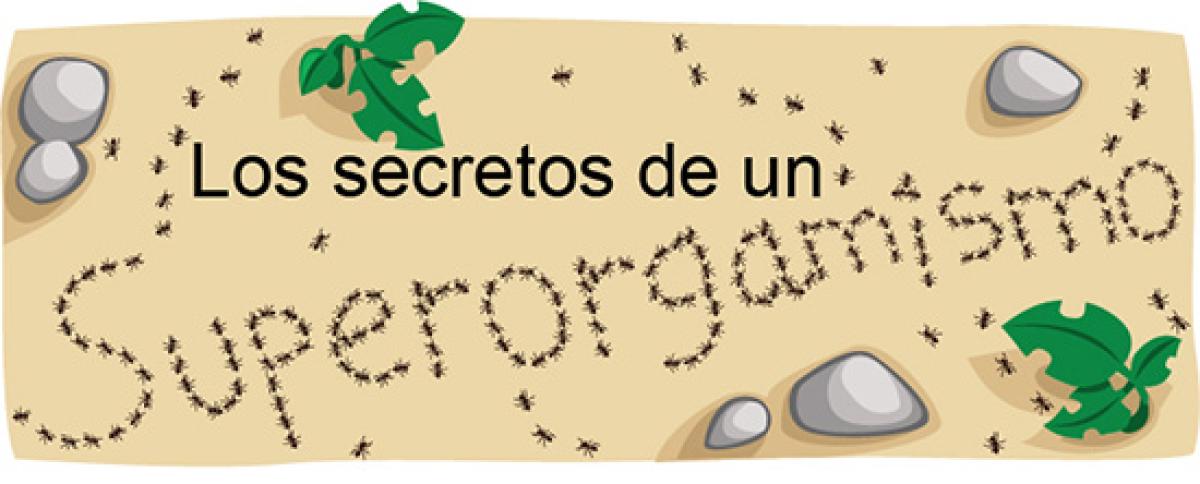 Secretos de un superorgamismo