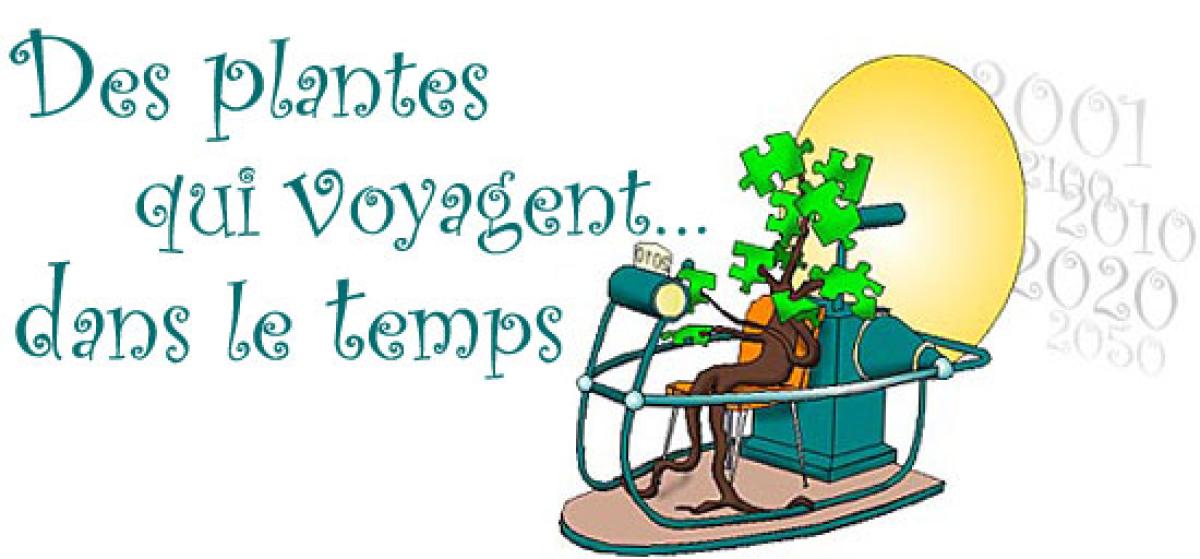 Des plantes qui voyagent…dans le temps