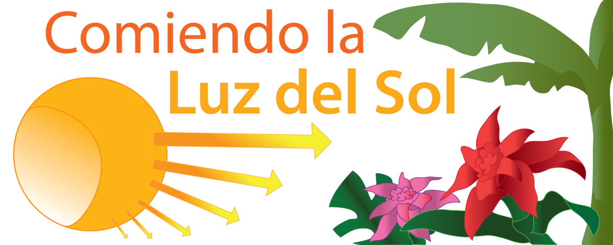 Comiendo la Luz del Sol