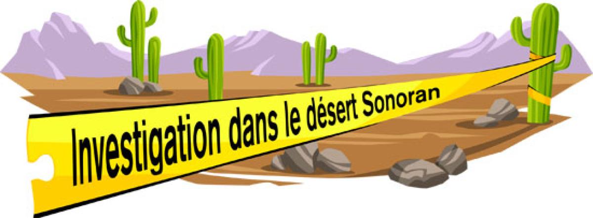 sonorancsi_fr_header