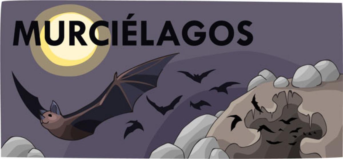 Murciélagos