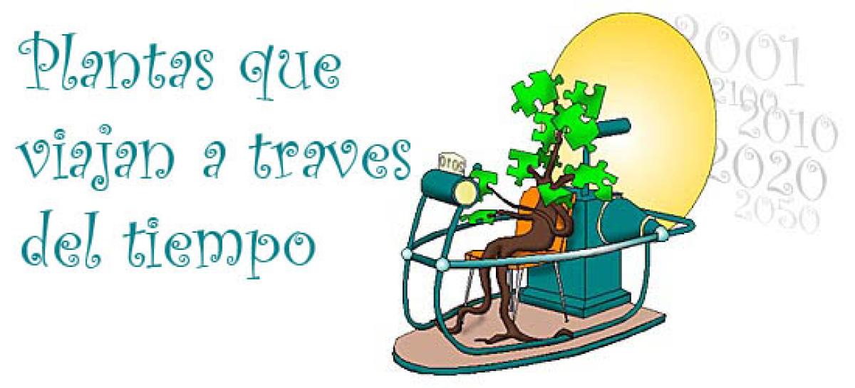 Plantas que viajan a traves del tiempo