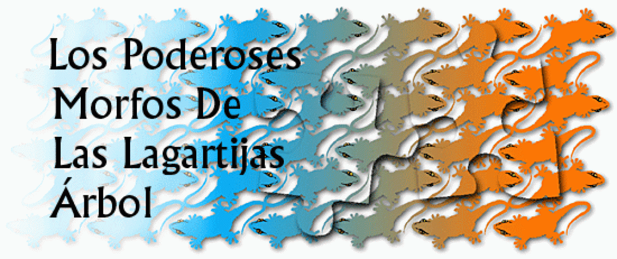 Los poderoses morfos de las lagartijas arbol