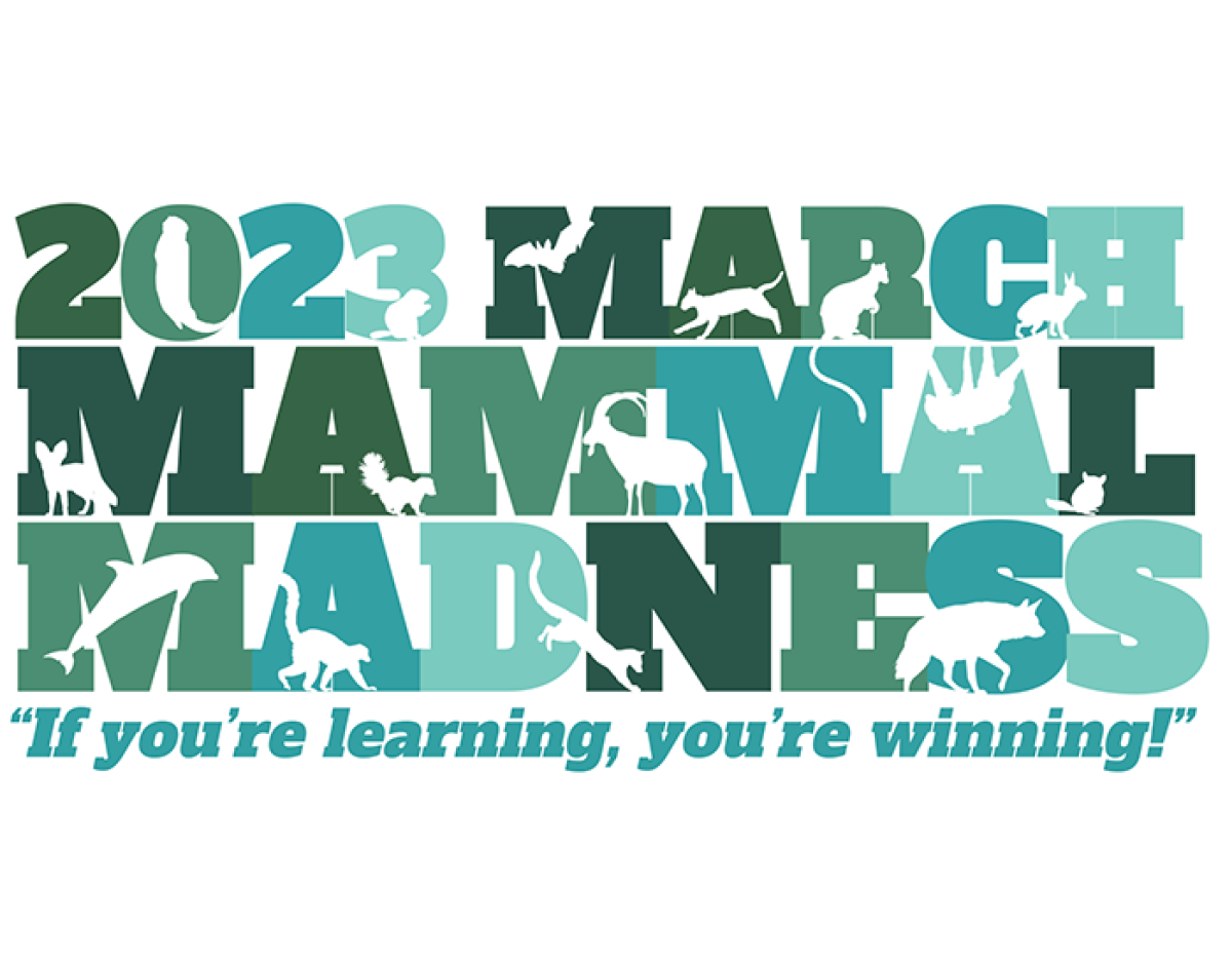 Logo art for March Mammal Madness 2023