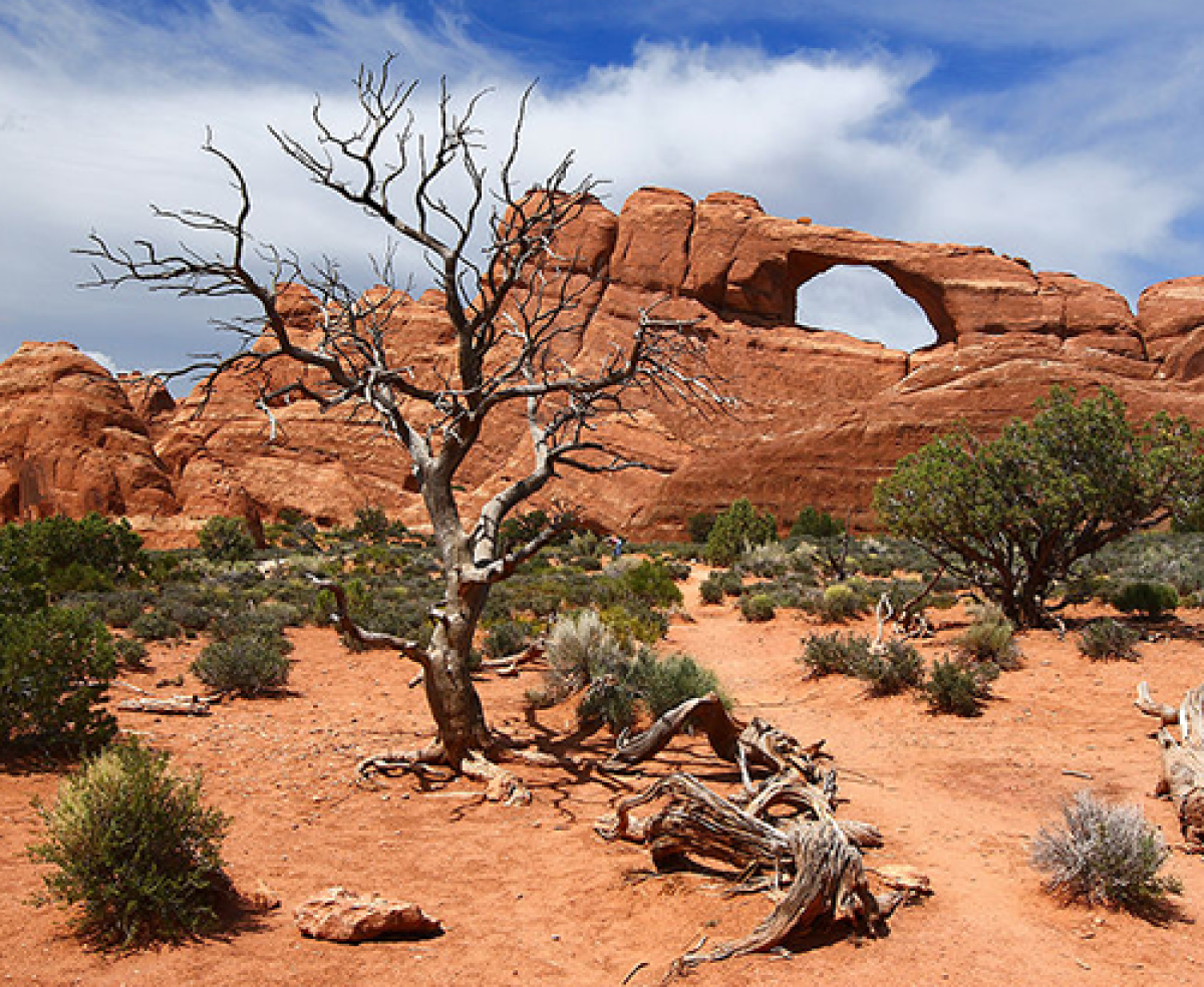 Skyline arch, Arches National Park