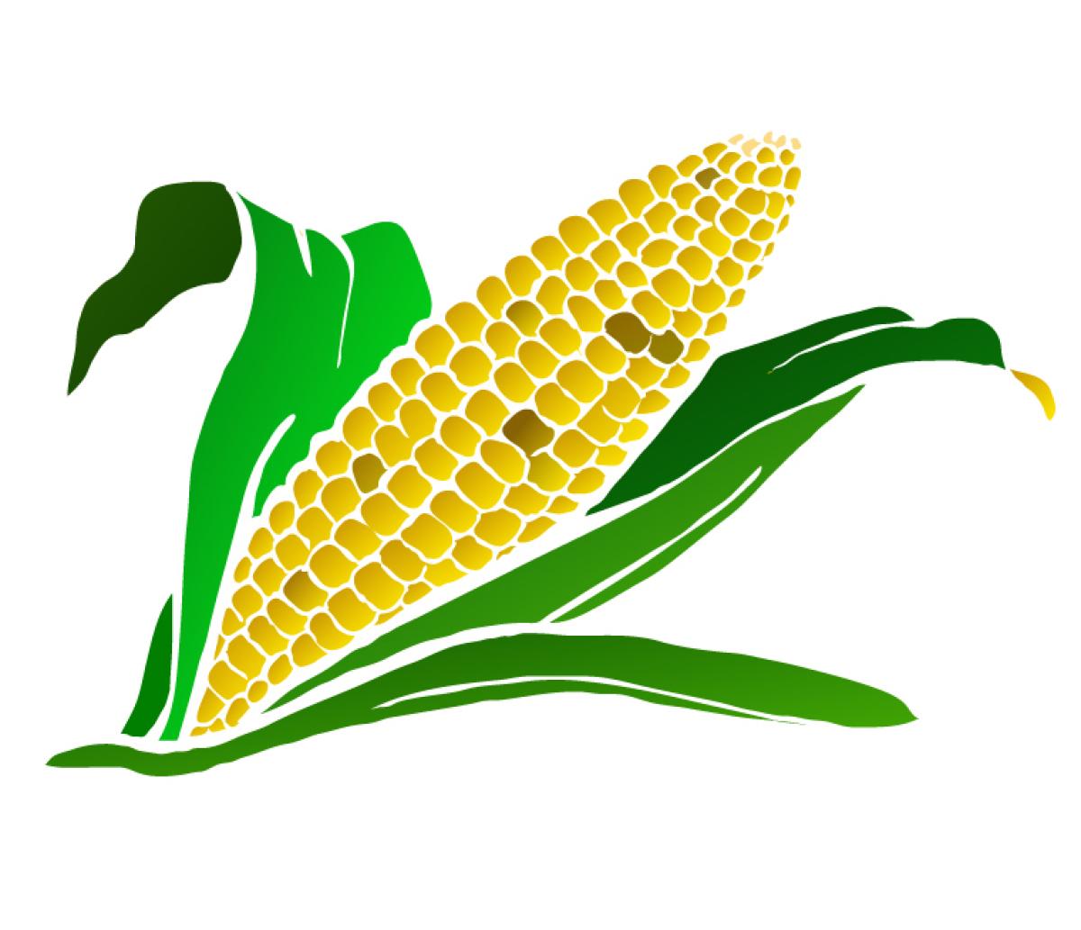 An illustration of maize by Image by Clker-Free-Vector-Images via Pixabay.
