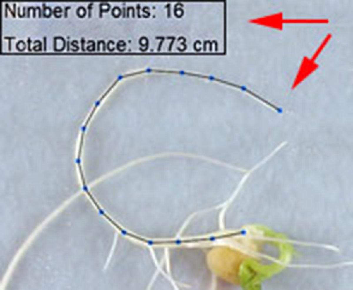 Measuring Tool