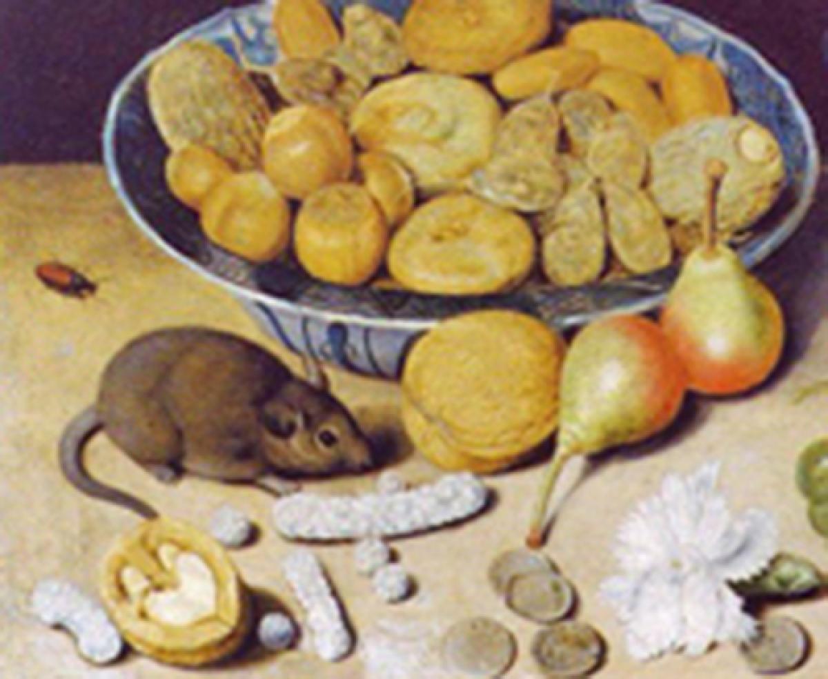 Still life with chestnuts and hazelnuts in a porcelain bowl, a Roemer, an apple, apricot, a beetle and a mouse by Georg Flegel