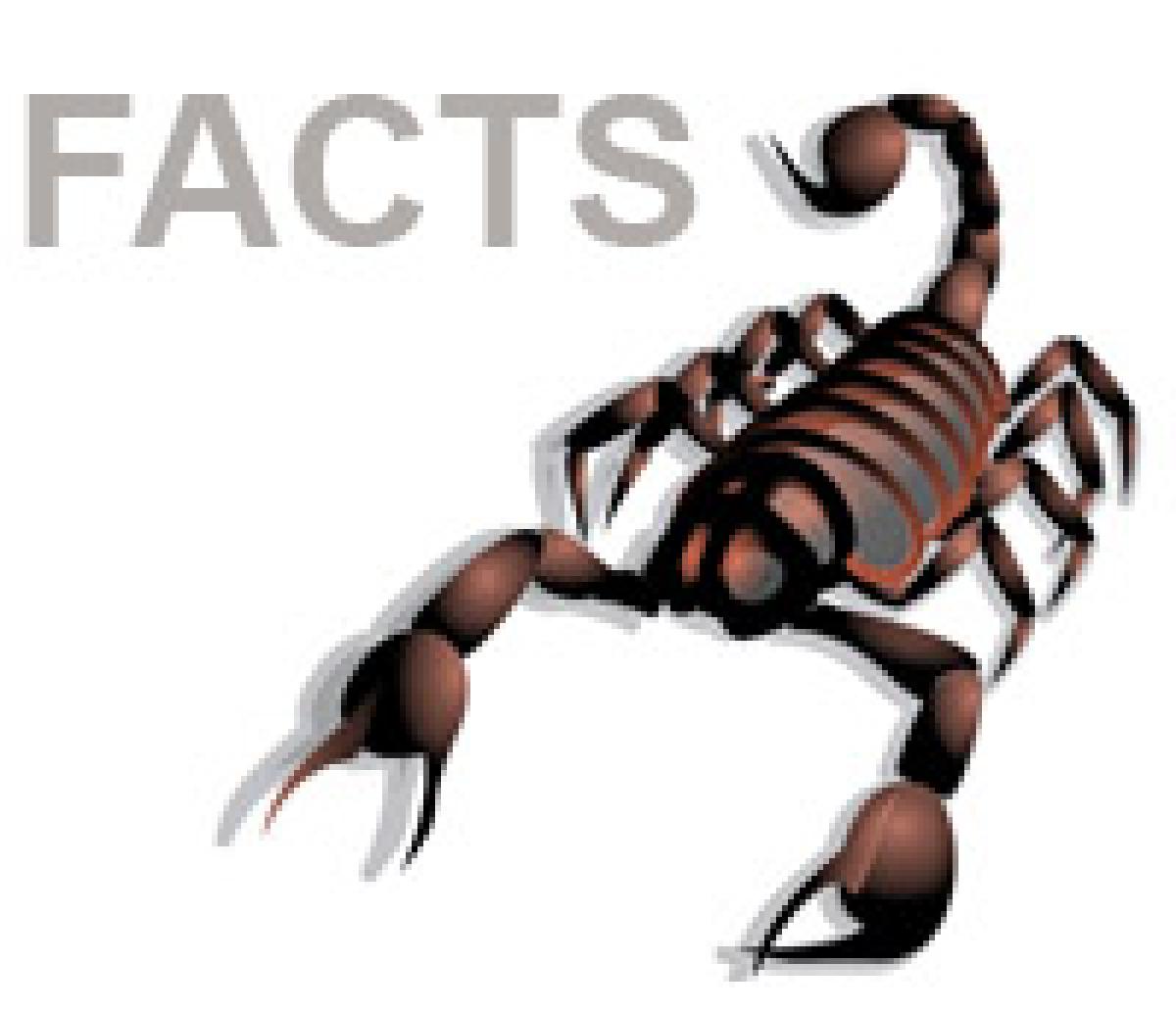 Facts about scorpions