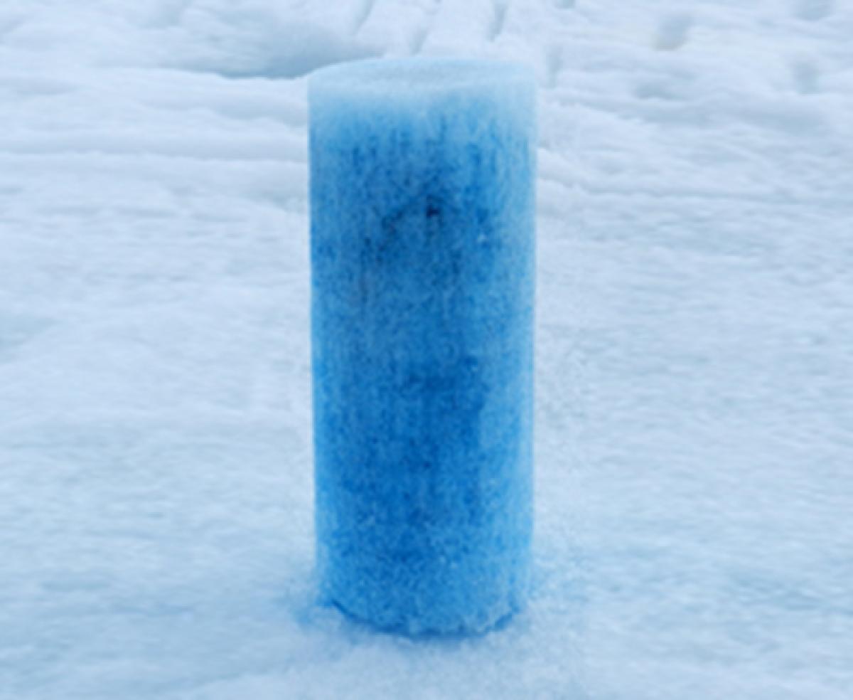 Sea Ice Core