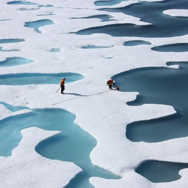Scientists standing on arctic ice.